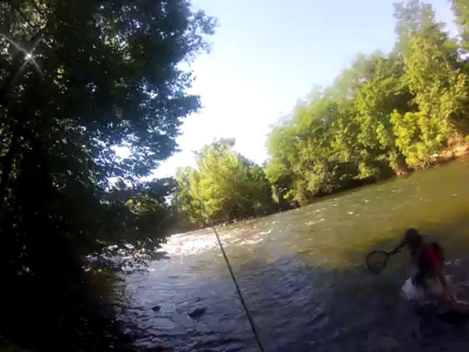 remise a l eau  ,, truite fario::éssai sous l eau  impec