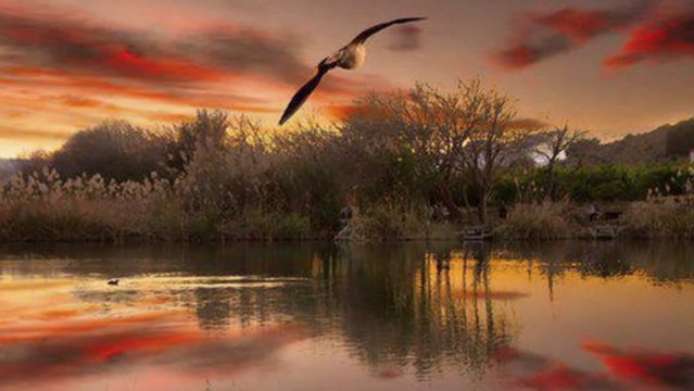 Melihat Gülses - - Gece sessiz ve karanlık yine herşey uyumuş