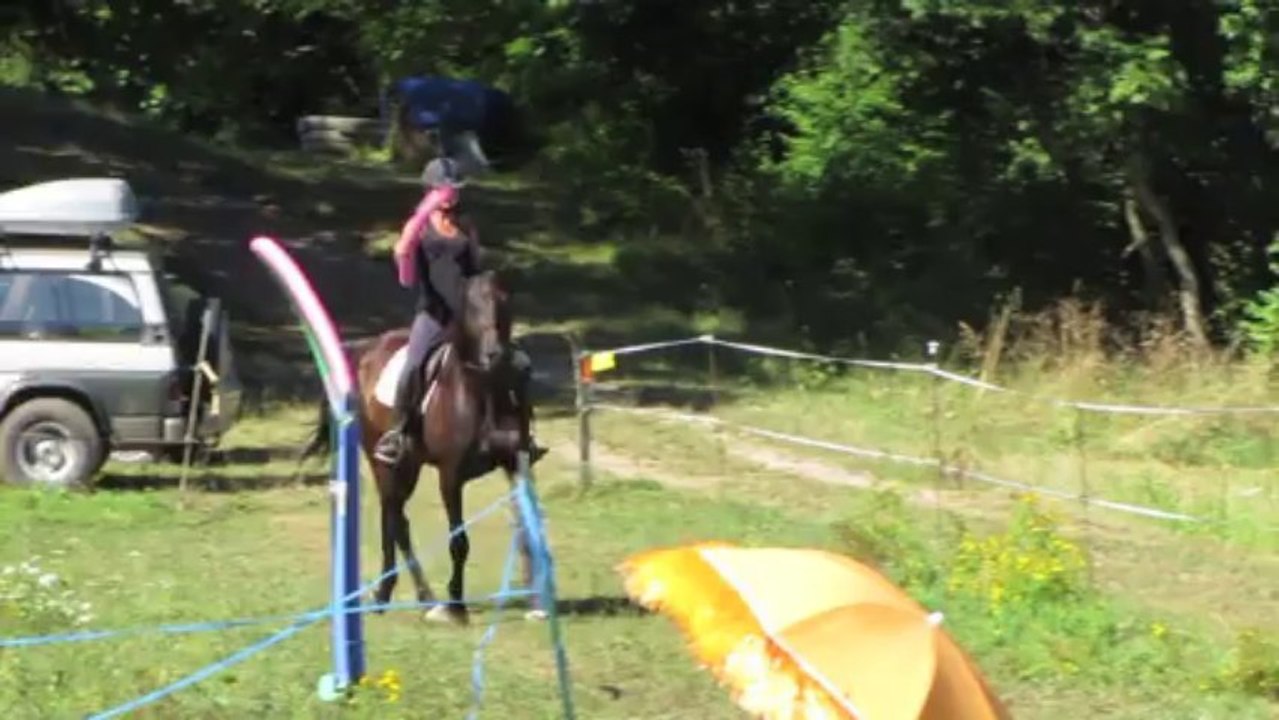 Parcours type équifeel, en selle