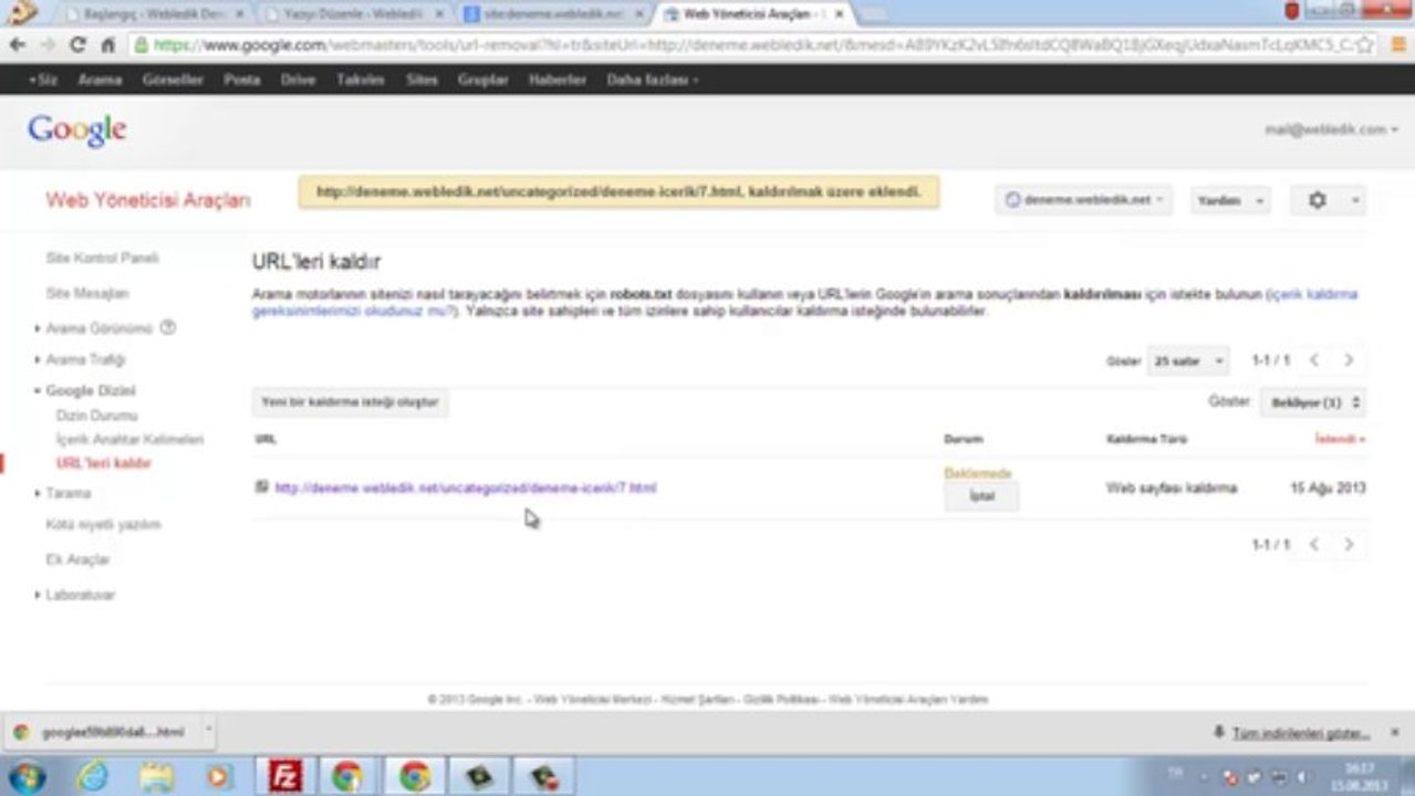 Google'da indexlenen adresler nasıl silinir?