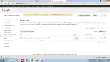 Google'da indexlenen adresler nasıl silinir?