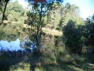 lagorce maine pommier