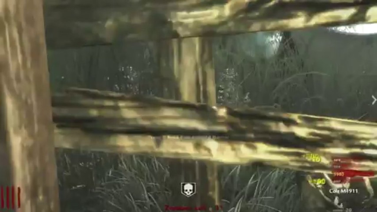 Call of Duty Zombies Custom Maps: Haus Der Untoten - THE FUCKING HIDDEN ROOM! (Part 4)