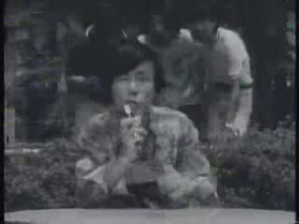 「走れコータロー」ソルティシュガー