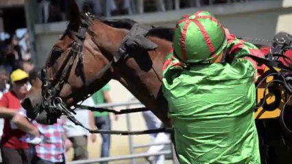 Courses hippiques de La Clayette