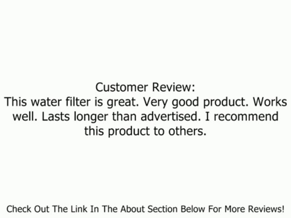 Water Sentinel WSG-1-6P Replacement Filters, 6-Pack Review