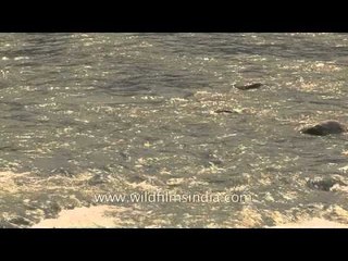 The mighty surge of Bhagirathi River