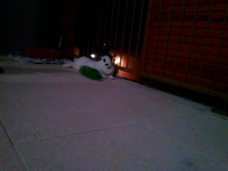 Crazy rabbit princess =D