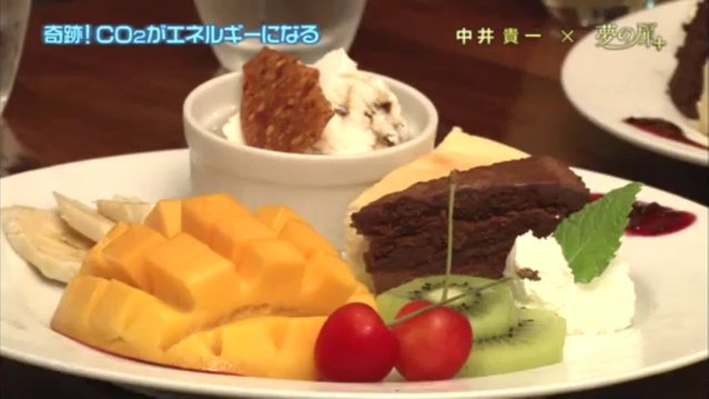 CO2がエネルギーになる