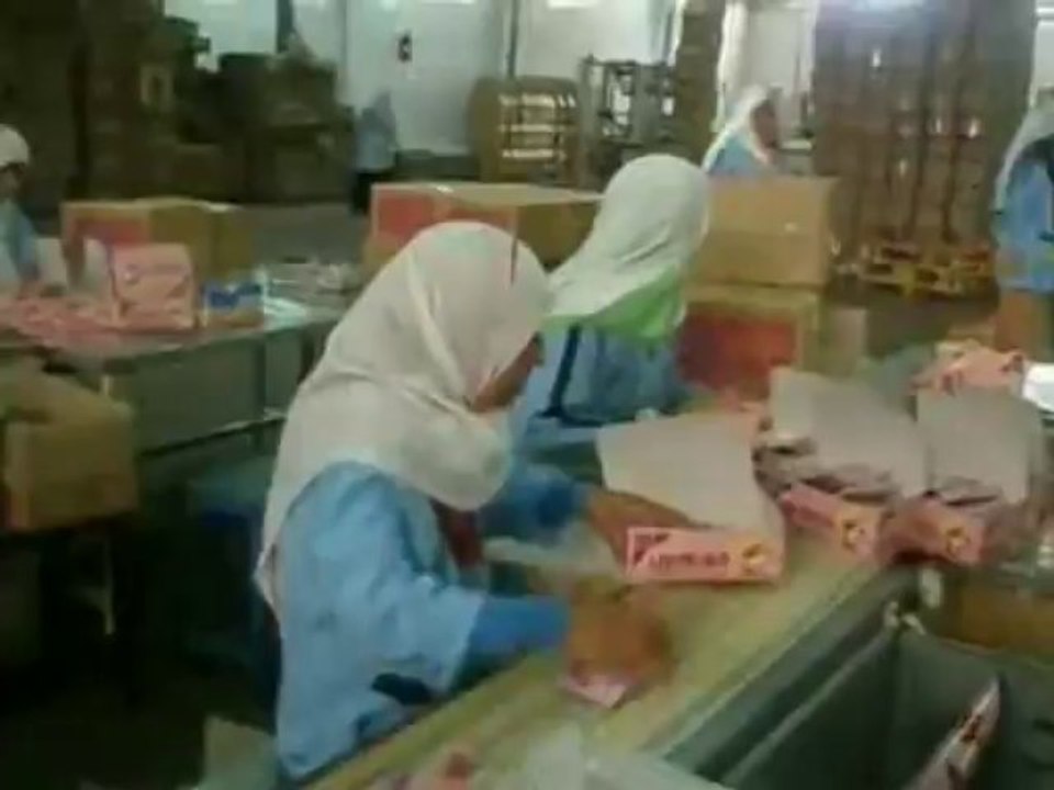 automatic packing line for cookies, food packing line