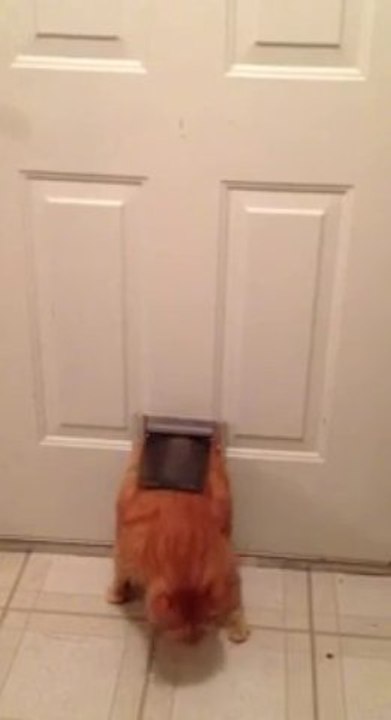 Fatiguée du voyage !