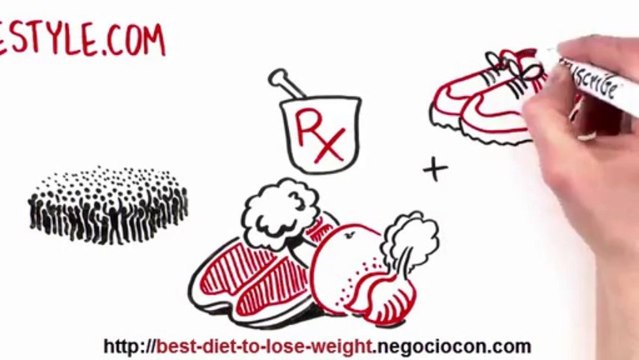 Best Diet To Lose Weight - 2013 - Best Diet For Health - The Paleo Diet Recipes