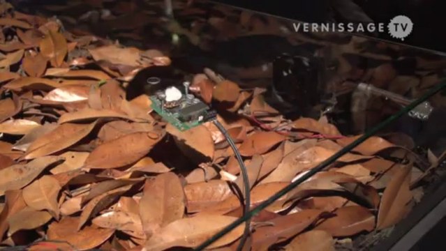 Terike Haapoja at Nordic Pavilion, Venice Art Biennale 2013