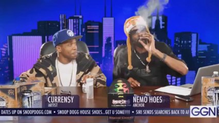 Eclectic Method Presents Snoop Lion "V-Jay Mixx"