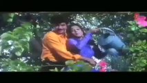 Teri Pyari Pyari Baatein Full HD Song _ Jamai Raja _ Anil Kapoor, Madhuri Dixit