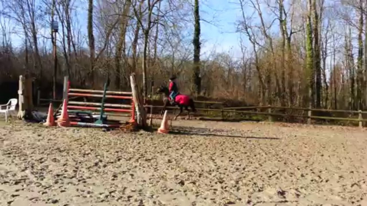 Jade galop main gauche