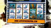 Dolphins Pearl online spielen kostenlos ohne anmeldung