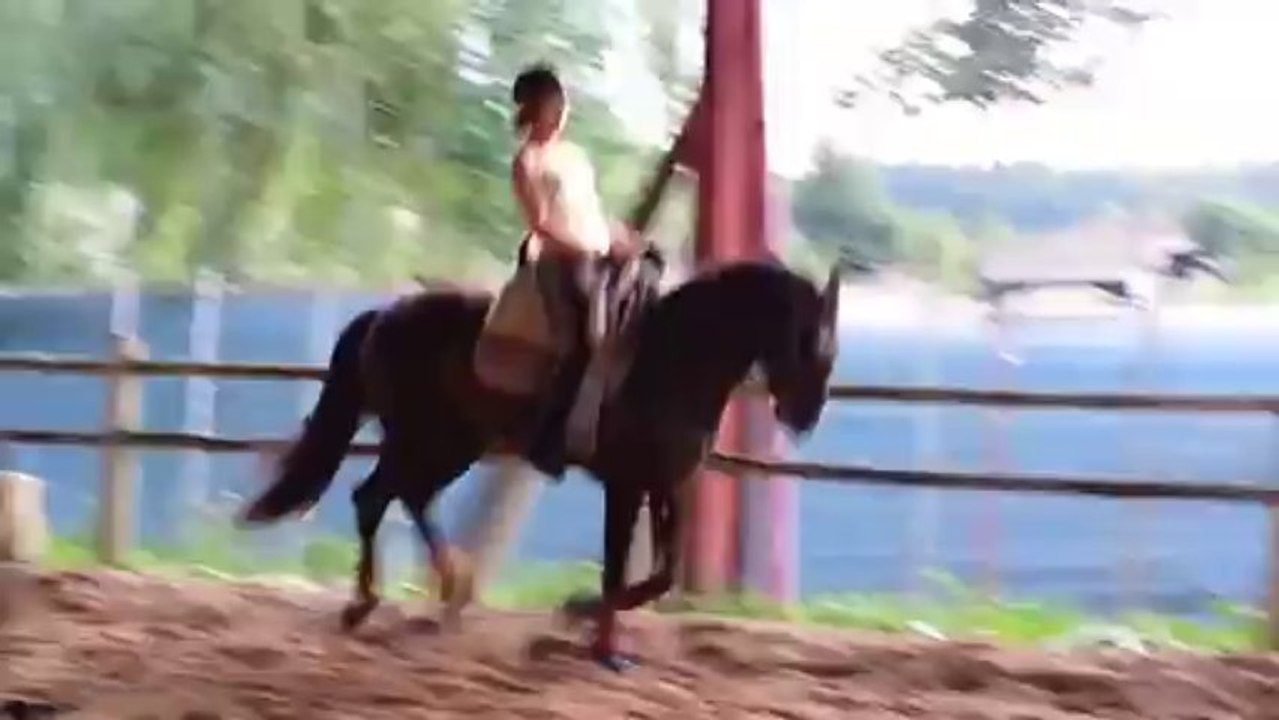 Jade  galop main droite