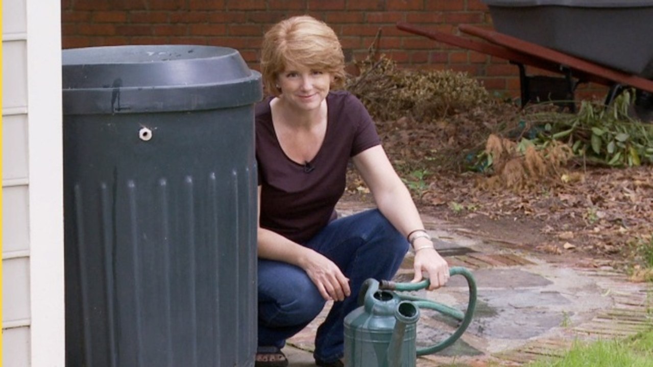 How to set up a rain barrel