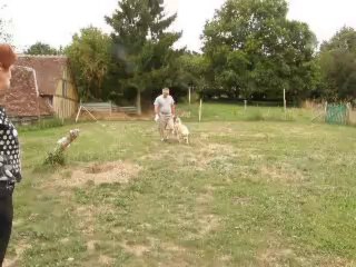 flanders marche au pied