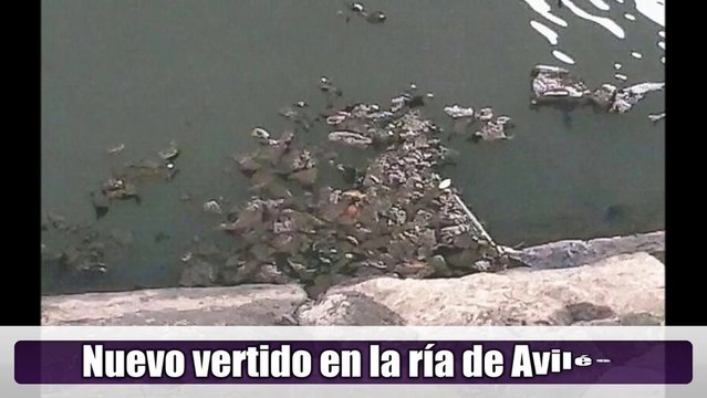 Ecologistas denuncian vertido contaminante en la ría de Avilés