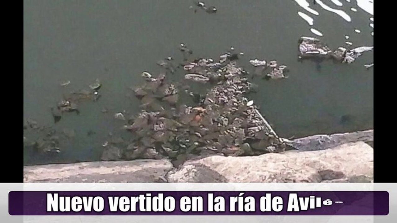 Ecologistas denuncian vertido contaminante en la ría de Avilés