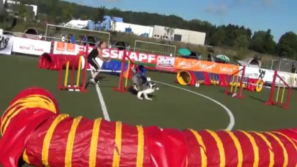 deiwel jump luxembourg