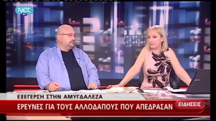 ΜΕΣΗΜΕΡΙΑΝΟ ΔΕΛΤΙΟ ΕΙΔΗΣΕΩΝ ΤΗΣ ΝΕΤ ΣΤΙΣ 12:00 (13-8-2013)