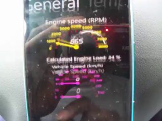 Windows Phone application Diagnose your car DTC and car data page