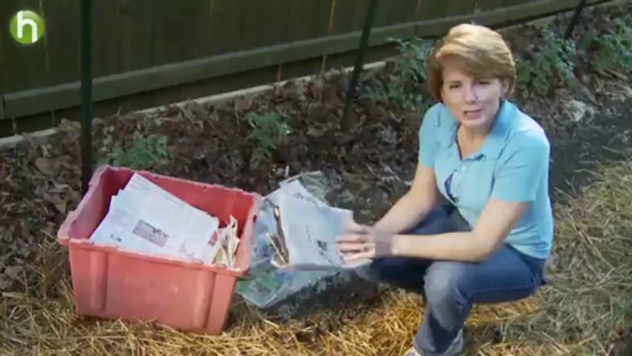 How to keep weeds out of your garden