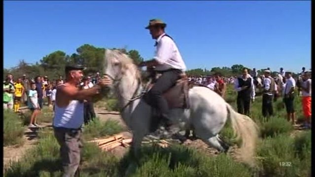 JT des Fêtes Votives 2013 : Mauguio