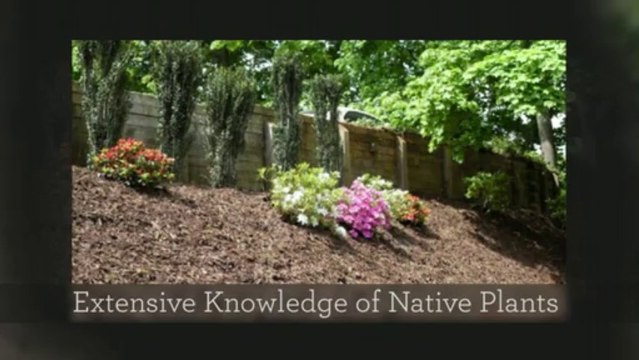 Plant Design and Install in Pittsburgh PA | Louisa Earth Call (412) 212-7421
