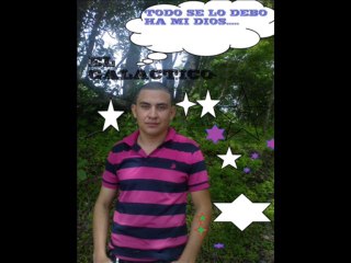 eres todo para mi el Gato Galactico.