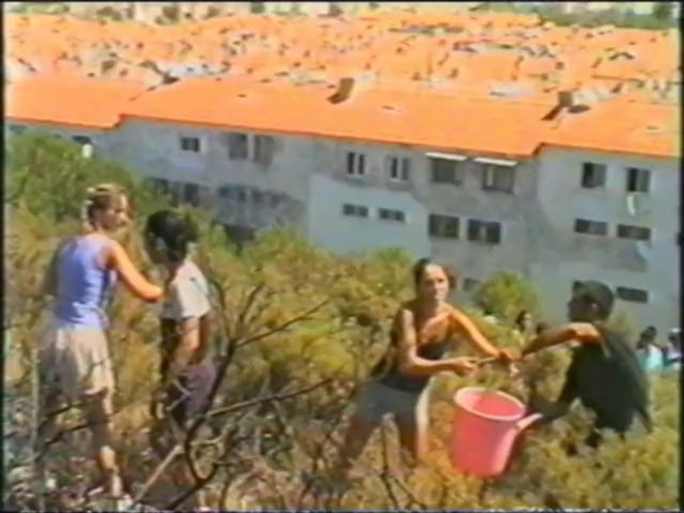 Yangın