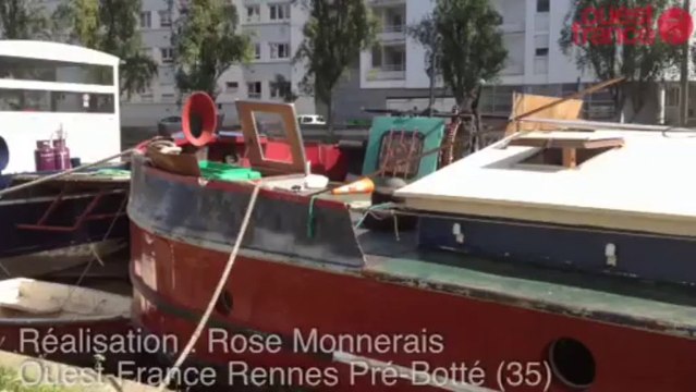 Les péniches du quai Saint-Cyr - Péniches