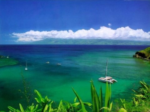 라이브바카라사이트 wowow7.com 온라인바카라