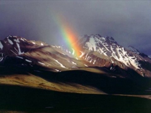 바카라게임 wowow7.com 인터넷카지노