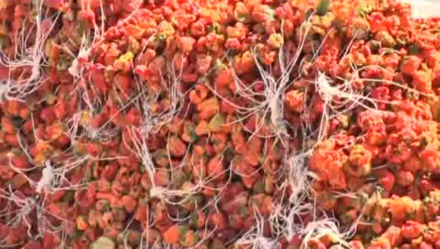 Kurutmalıklar geçim kaynakları oldu