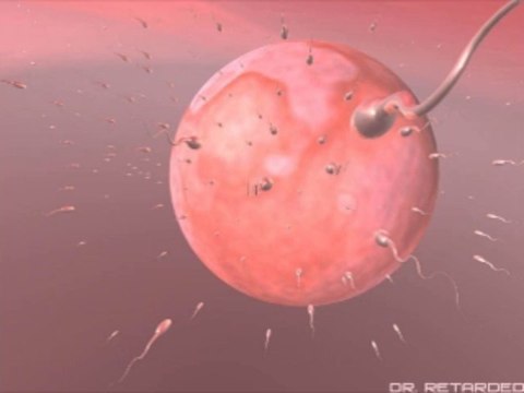 바카라잘하는법 wowow7.com 인터넷카지노