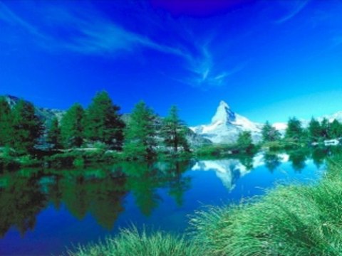 온라인바카라 wowow7.com 라이브바카라사이트