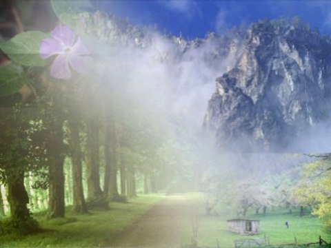 온라인바카라 wowow7.com 생방송바카라