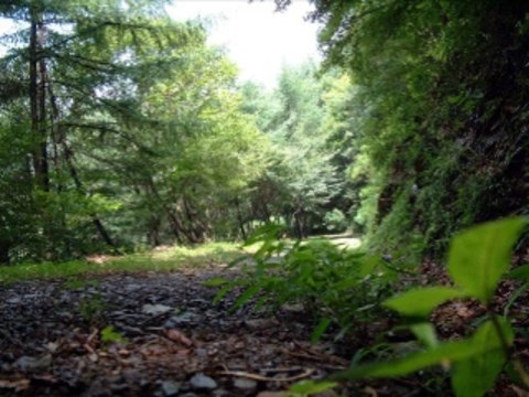 온라인카지노게임 wowow7.com 라이브바카라