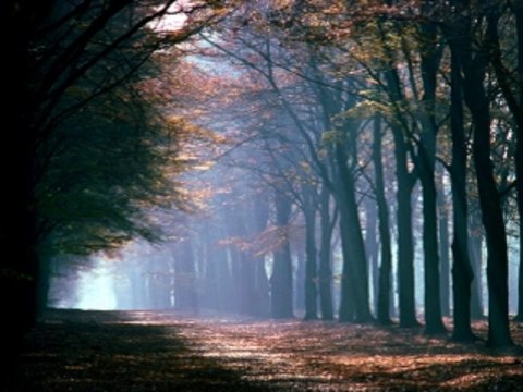 인터넷바카라사이트 wowow7.com 라이브바카라