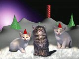 Joyeux Noël présenté par des chats !