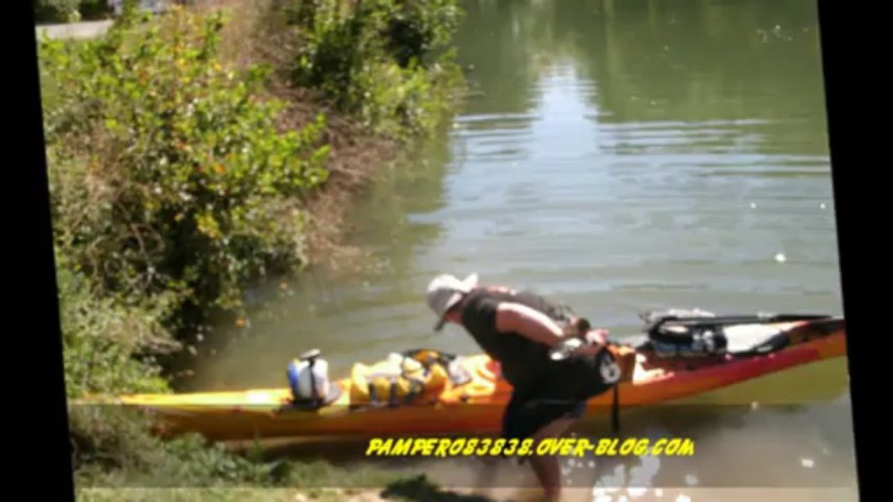MARAIS POITEVIN  COULON  VENISE VERTE