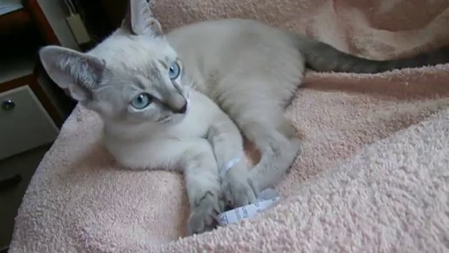 Islay 14 semaines bis 019