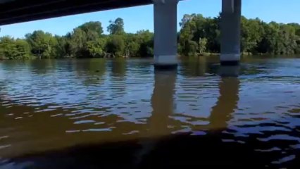 Ballade sur l'Erdre (15/08/13)