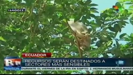 Explotación del parque Yasuní-ITT genera controversia