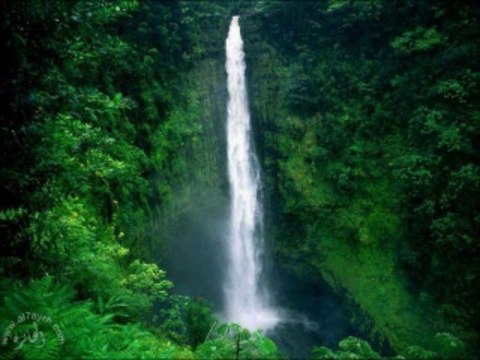 ‫جزء عم كاملا- الشيخ سعد الغامدي‬‎