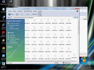 Plugin Nereye Atılır ? [Cevap]